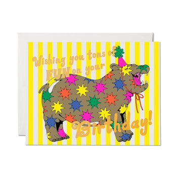 Star Hippos Birthday Card