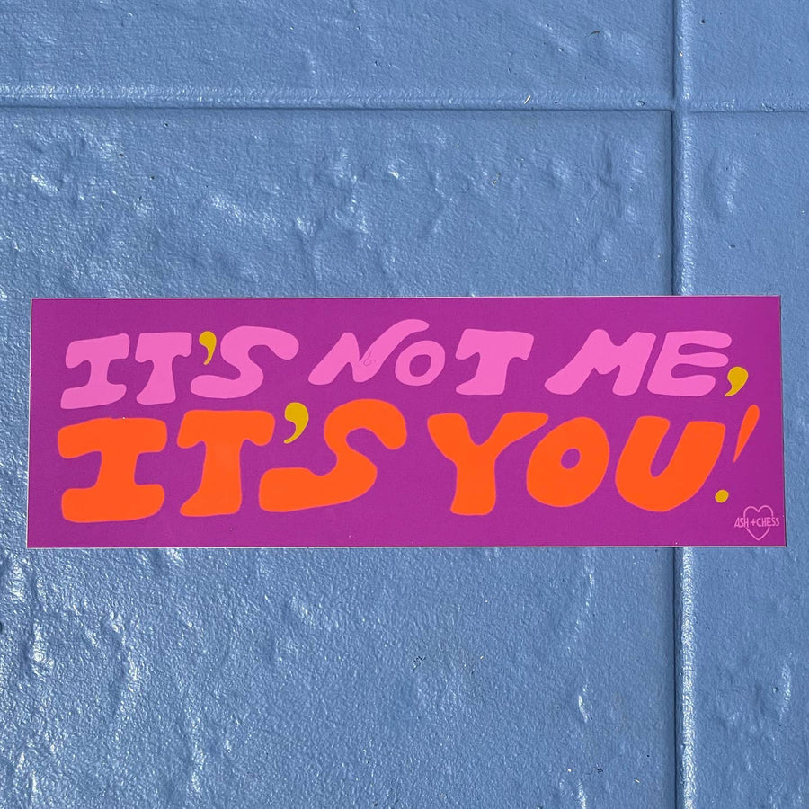 It's Not Me, It's You Bumper Sticker