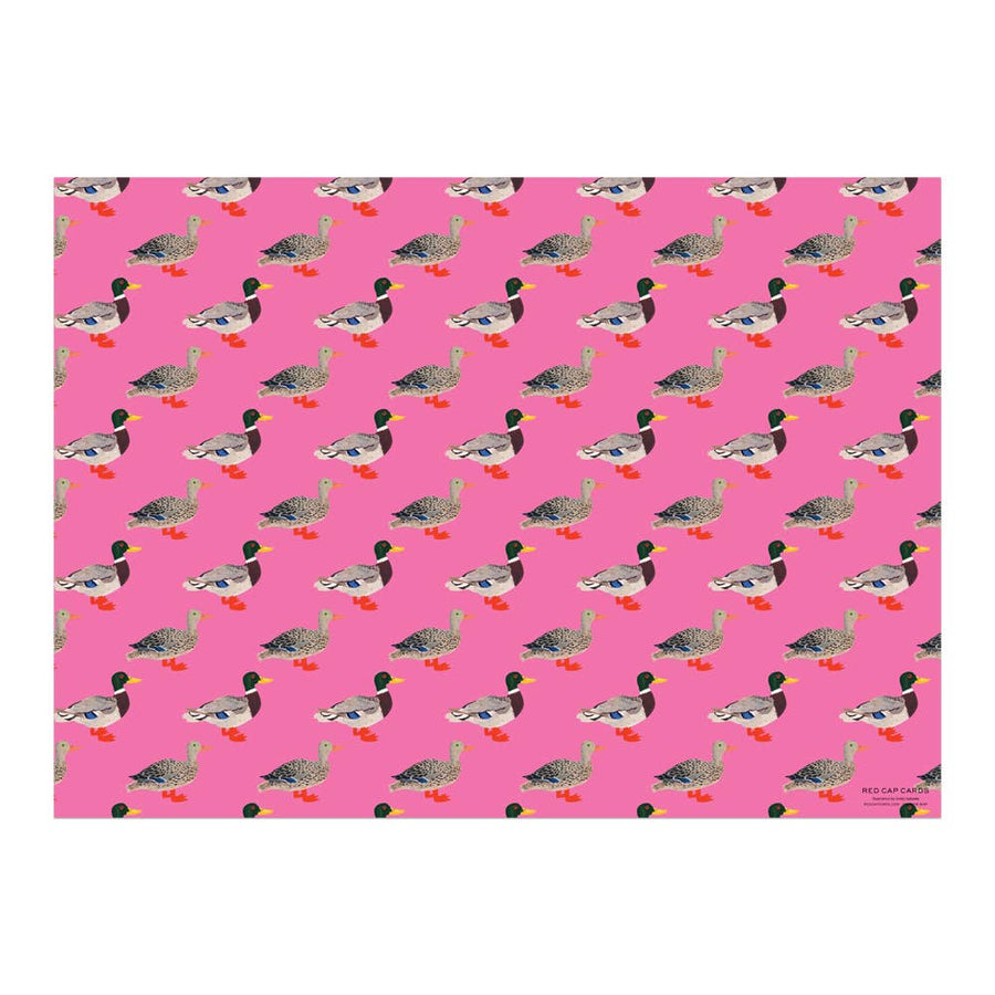 Quacky Wrapping Paper (in-store pickup only)