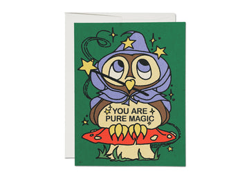 You Are Pure Magic Owl Wizard Friendship Card