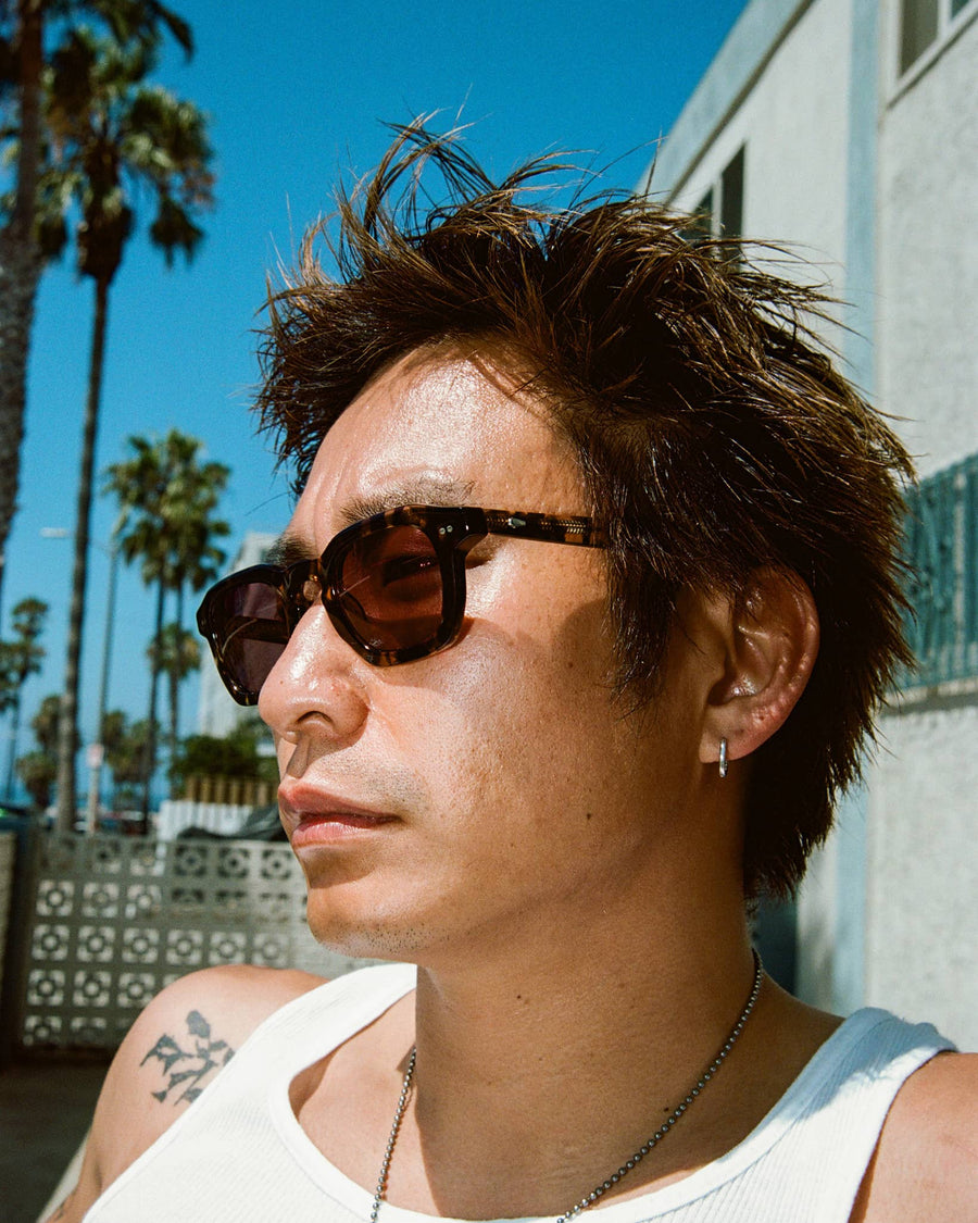 The No Wave in Desert Tortoise Bio / Polarized Plum