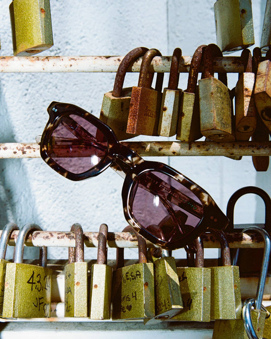The No Wave in Desert Tortoise Bio / Polarized Plum
