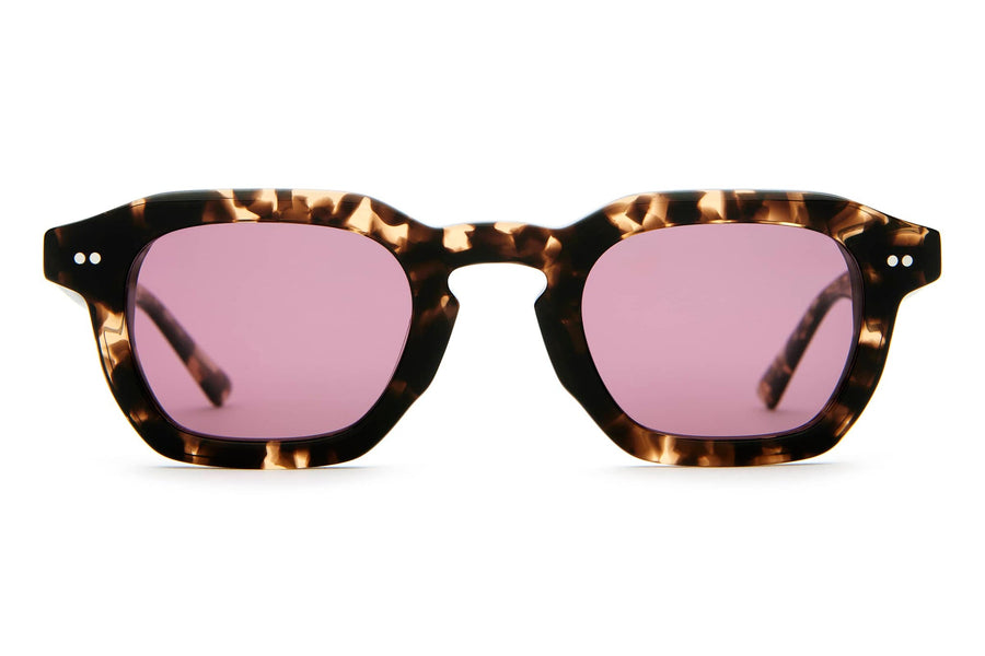 The No Wave in Desert Tortoise Bio / Polarized Plum