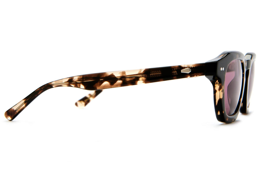 The No Wave in Desert Tortoise Bio / Polarized Plum