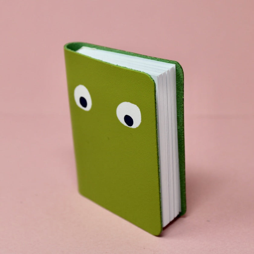 Googly Eye Mini Notebook