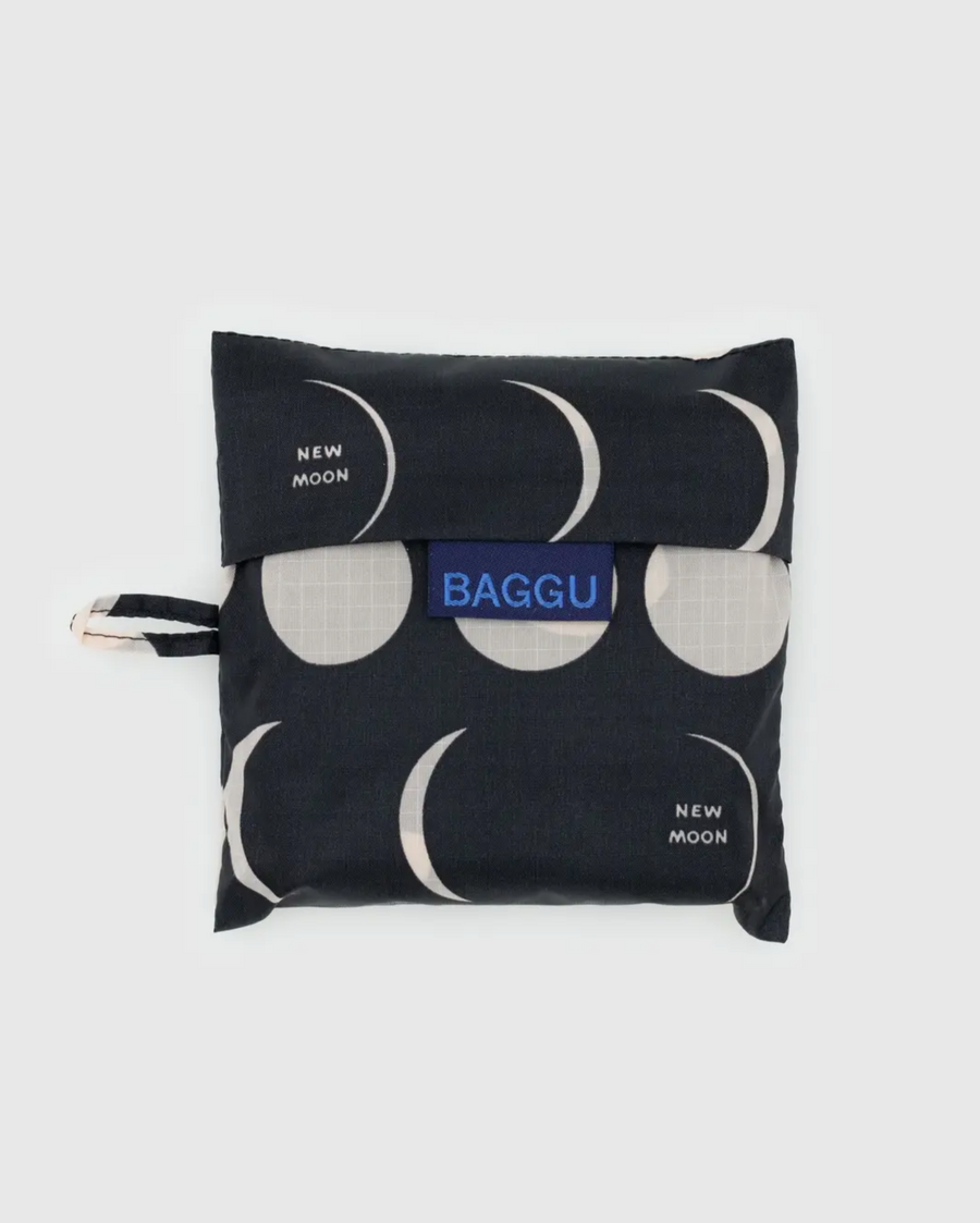 Standard Baggu in Moon