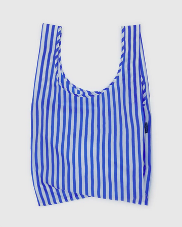 Standard Baggu in Blue Painted Stripe