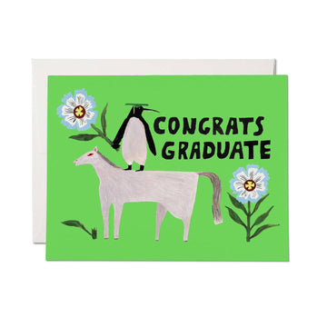 Penguin Graduation Pomp Greeting Card