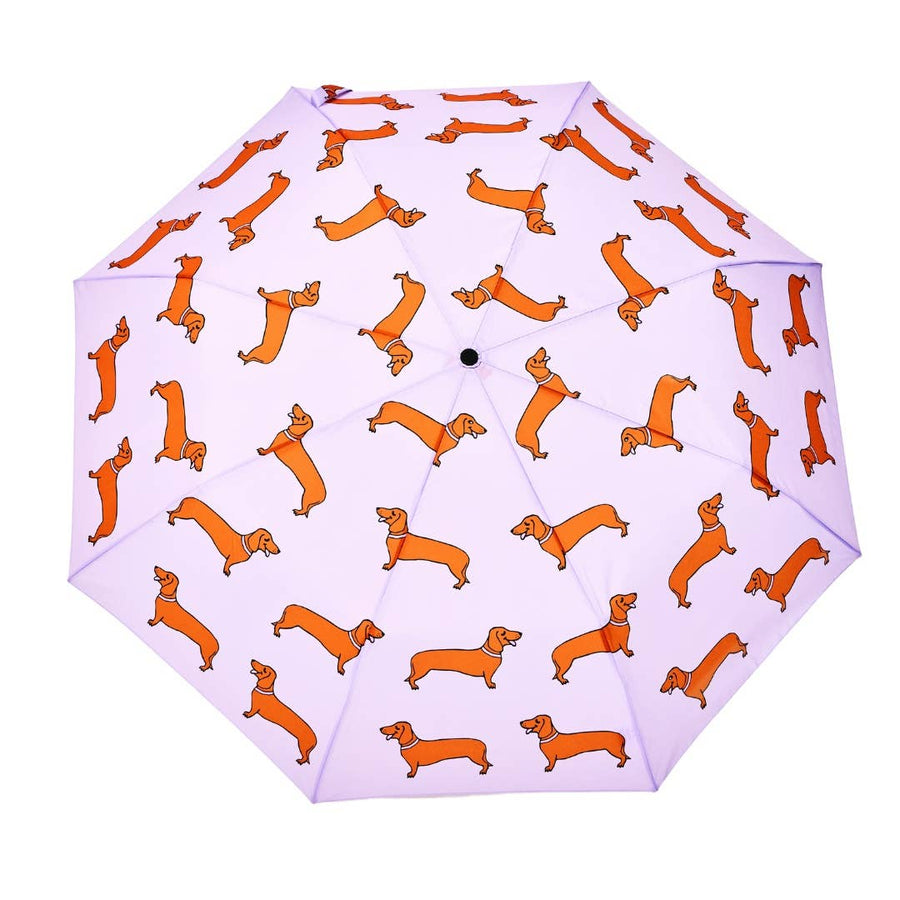 Dachshund Dog Umbrella Coucou Suzette Collab