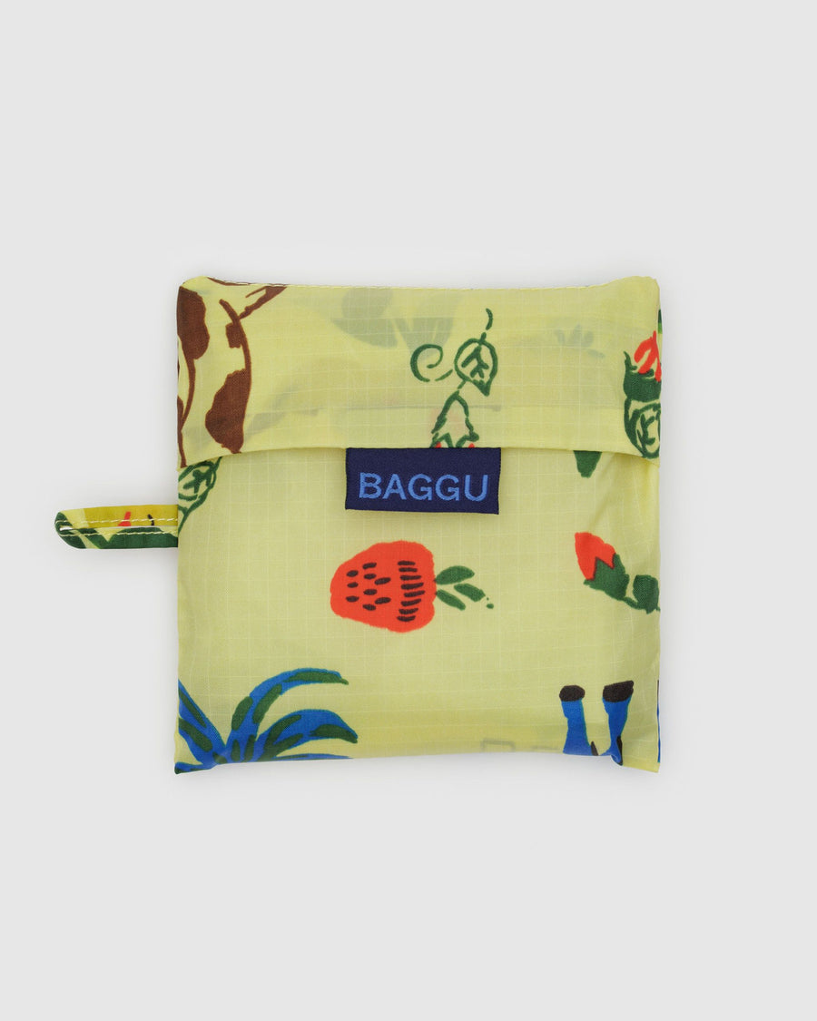 Standard Baggu in Painted Prairie