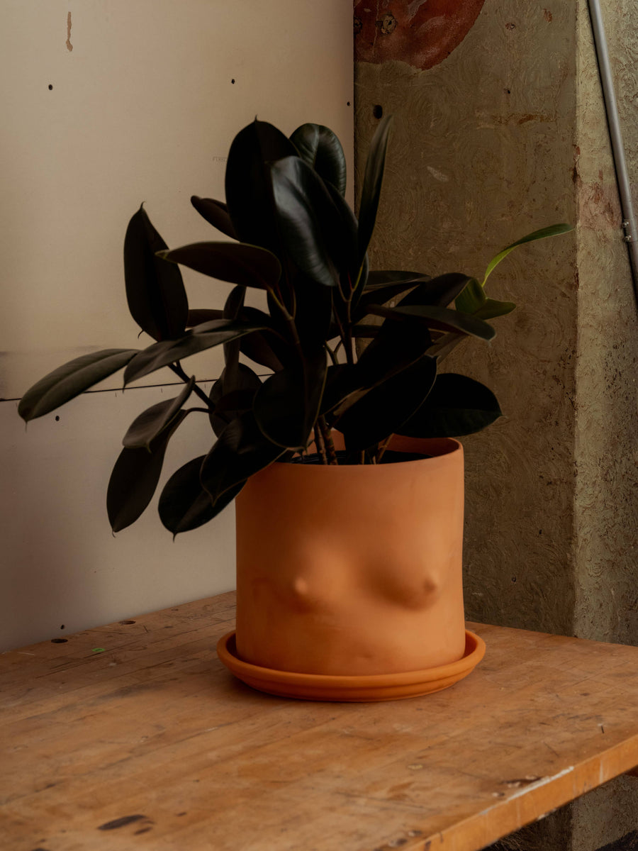 Terracotta Top Plant Pot