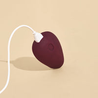 Pom Flexible Vibrator