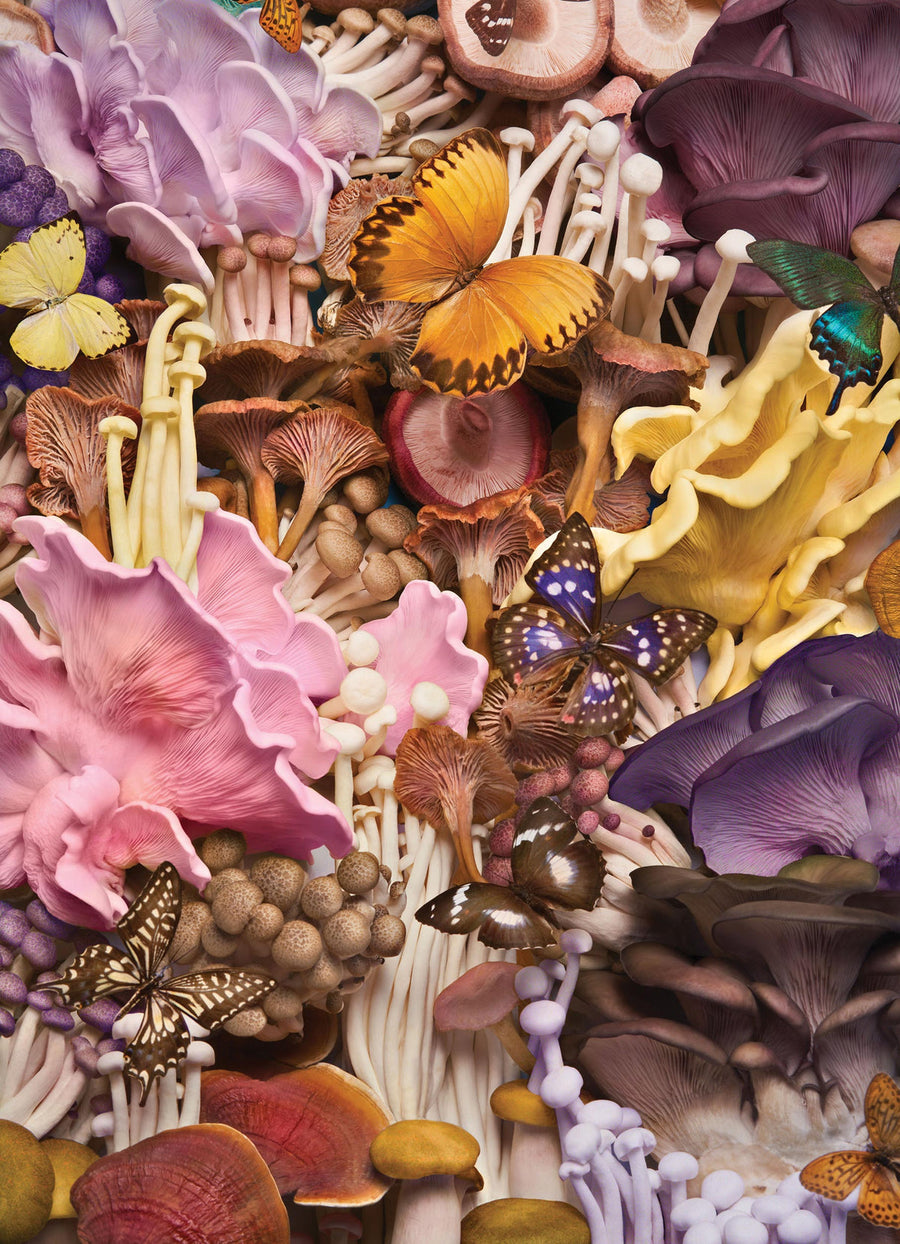 Magic Moment Mushroom Puzzle