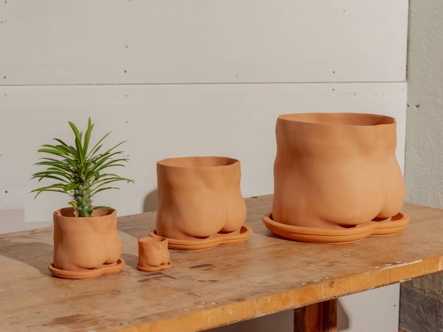 Mini Terracotta Bottoms Plant Pot